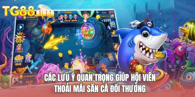 Các lưu ý quan trọng giúp hội viên thoải mái săn cá đổi thưởng