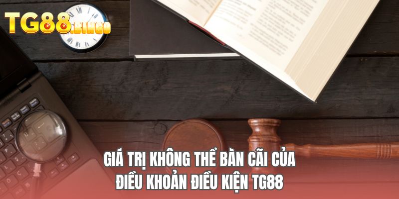 Giá trị không thể bàn cãi của điều khoản điều kiện TG88