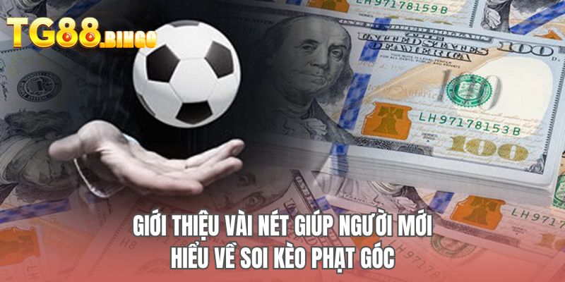 Giới thiệu vài nét giúp người mới hiểu về soi kèo phạt góc