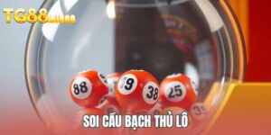Soi cầu bạch thủ lô